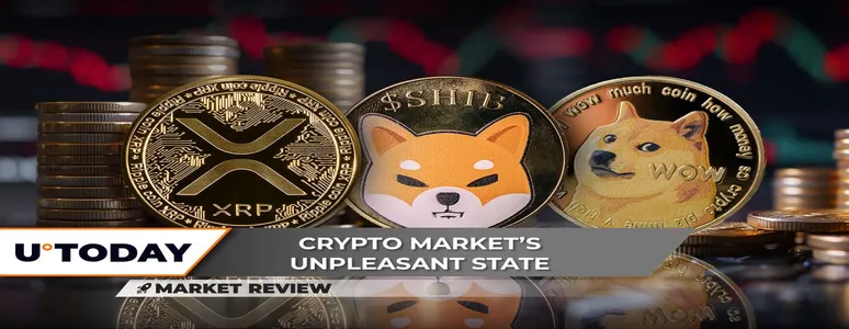 XRP's Battle For $0.5, Shiba Inu (SHIB) Joins Market Comeback, Dogecoin (DOGE) Is In Better Position