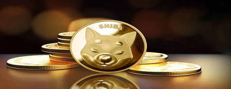 4.34 Trillion SHIB: Here's What's Happening in Last 24 Hours