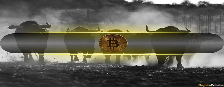 Here’s When the Current Bitcoin Bull Cycle Will End: CryptoQuant CEO