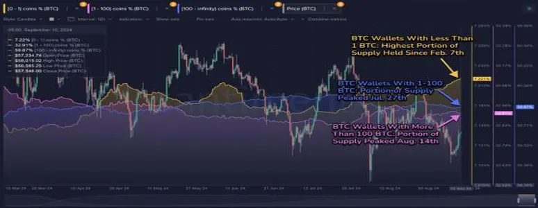 При каких условиях курс биткоина обновит рекордный показатель?