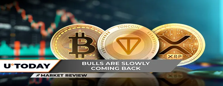 Bearish XRP Triangle Stops Bulls, Toncoin (TON) Performs Fundamental Breakout, Bitcoin (BTC) Is Above $60,000: What's Next?