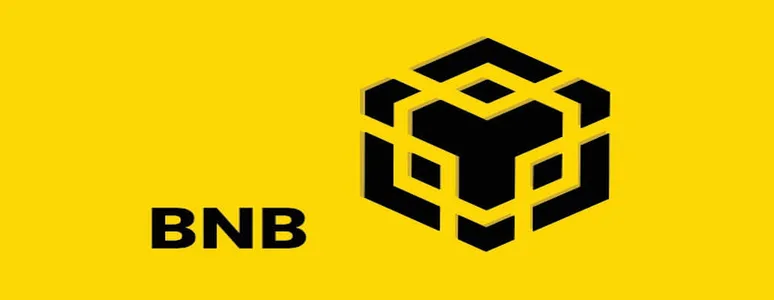 BNB Chain's Role in the Future of Stablecoin Payments